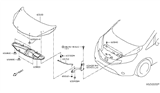 Diagram for 2019 Nissan Versa Note Hood Hinge - 65401-3VA1A