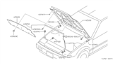 Diagram for 1987 Nissan Pulsar NX Hood Hinge - 65401-80M00