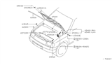 Diagram for 2000 Nissan Xterra Lift Support - 65771-3S500