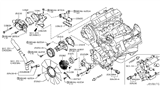 Diagram for 2017 Nissan Armada Water Pump Gasket - 21014-AR001