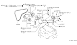 Diagram for 1985 Nissan Maxima Drive Belt - 11950-16E10