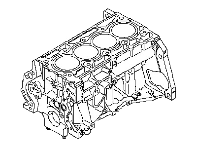 Nissan 11000-EN1H5 Cylinder Block