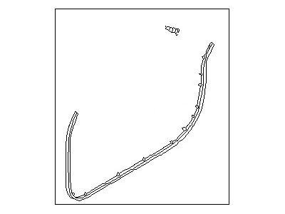 Nissan 80831-4Z300 Weatherstrip-Front Door,LH