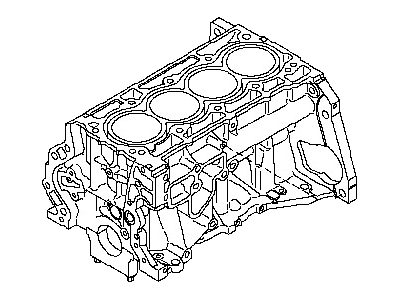 Nissan 11010-EM50G Cylinder Block