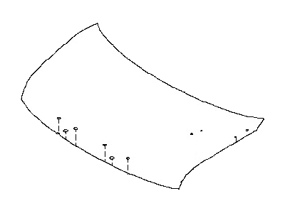 Nissan FEA0M-1FAMA Hood Assembly