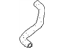 Nissan A8761-M4901 Hose EVAPO