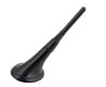 Nissan Rogue Antenna