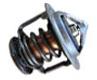 Nissan GT-R Thermostat